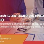 DỊCH VỤ LẬP BÁO CÁO TÀI CHÍNH GIỮA NIÊN ĐỘ (6 THÁNG/QUÝ) CHO DOANH NGHIỆP