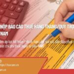 DỊCH VỤ LẬP & NỘP BÁO CÁO THUẾ HÀNG THÁNG/QUÝ TRỌN GÓI