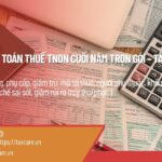 DỊCH VỤ QUYẾT TOÁN THUẾ TNDN CUỐI NĂM TRỌN GÓI – TAX CARE VIỆT NAM