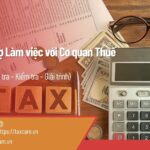 Dịch vụ Hỗ trợ Làm việc với Cơ quan Thuế