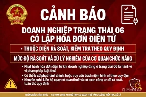 Cơ quan Thuế đang làm gì với doanh nghiệp trạng thái 06 có lập hóa đơn