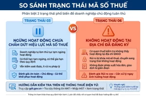 Trạng thái 03 và trạng thái 06 là gì? Cách kiểm tra mã số thuế doanh nghiệp